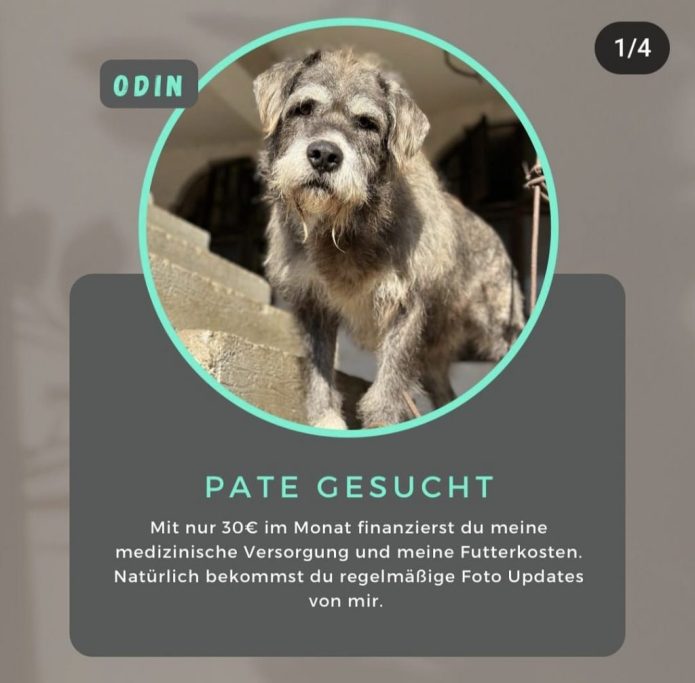 Wirst du mein Pate?