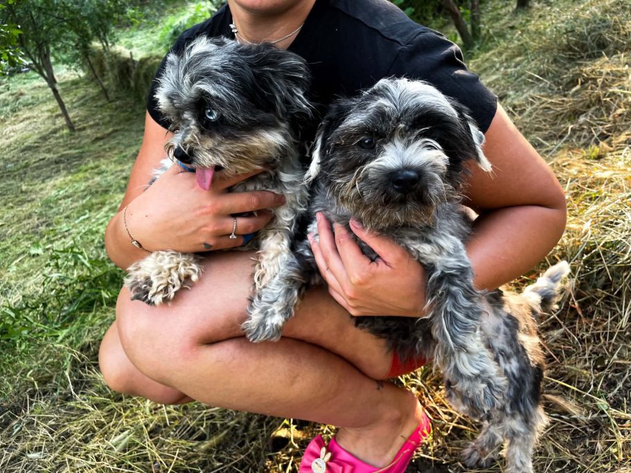Mimi & Hanni ♀♀