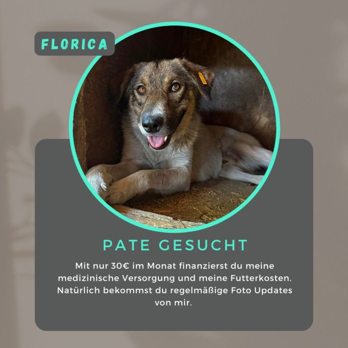 Wirst du mein Pate?